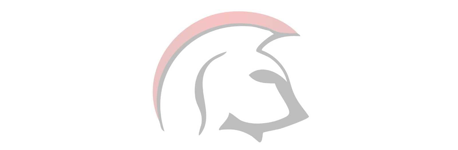 Service item page header